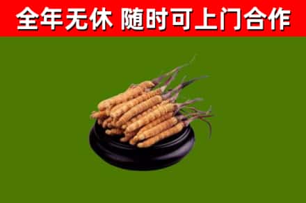 凤城市烟酒回收冬虫夏草.jpg